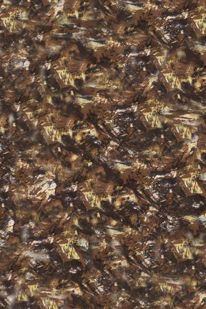 个性印花华亿平台图片