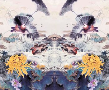 600485-水墨鸳鸯荷花