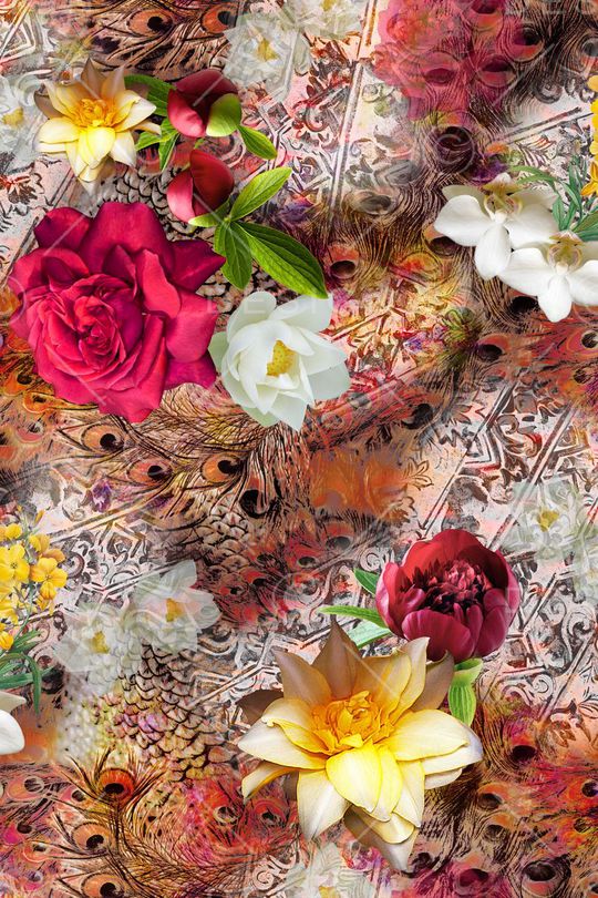 女装印花华亿平台图片