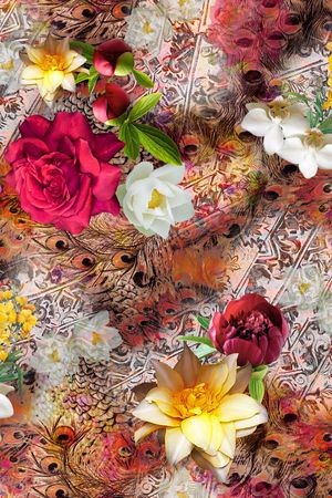 女装印花华亿平台图片