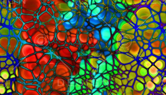 泳装印花华亿平台图片