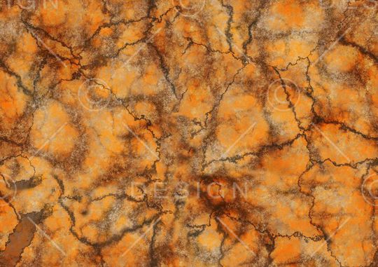 泳装印花华亿平台图片