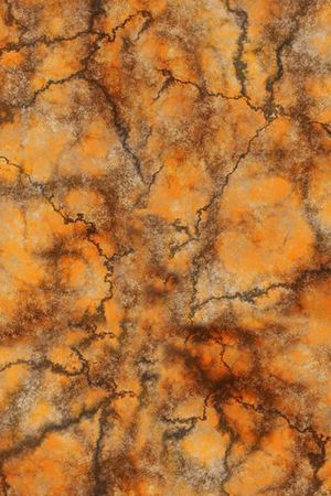 泳装印花华亿平台图片