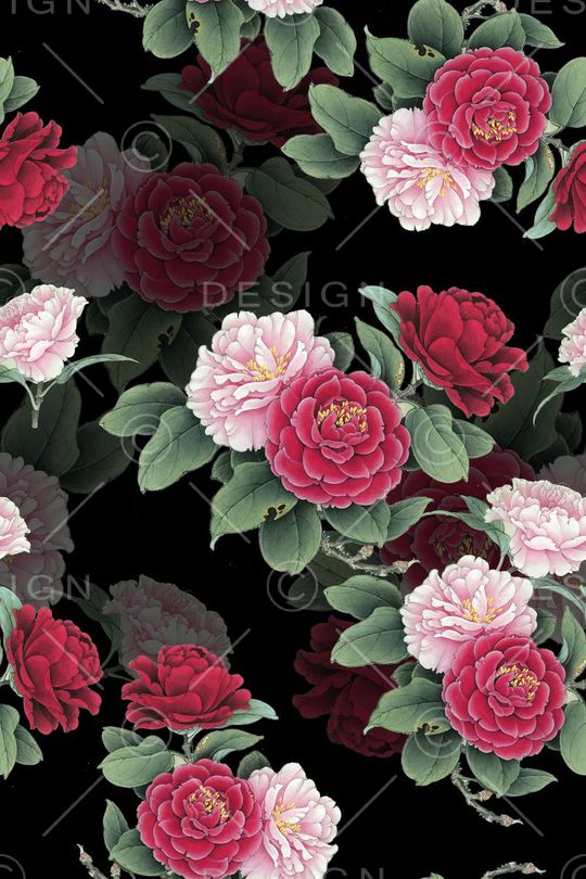 复古印花华亿平台图片