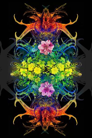 零点--女装印花华亿平台图片