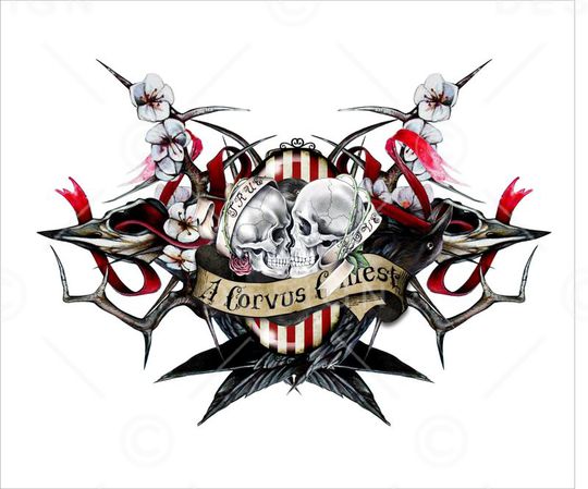 骷髅印花华亿平台图片