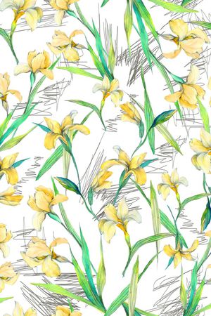 线条印花华亿平台图片