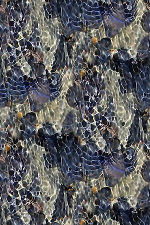 笔刷印花华亿平台图片