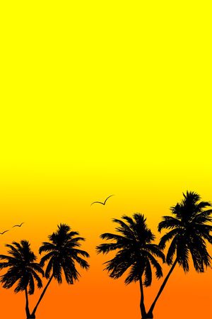 椰树印花华亿平台图片