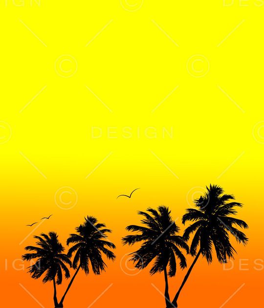 椰树印花华亿平台图片