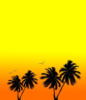 椰树印花华亿平台图片