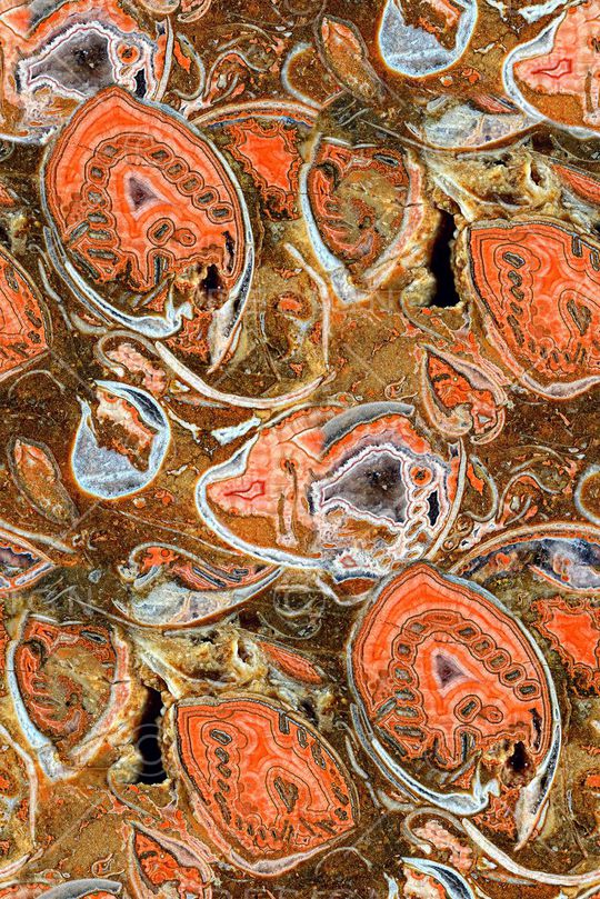 抽象纹理印花华亿平台图片