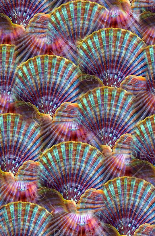 彩色自然岩石印花华亿平台图片