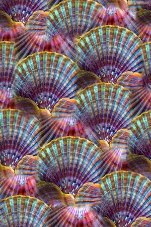 彩色自然岩石印花华亿平台图片