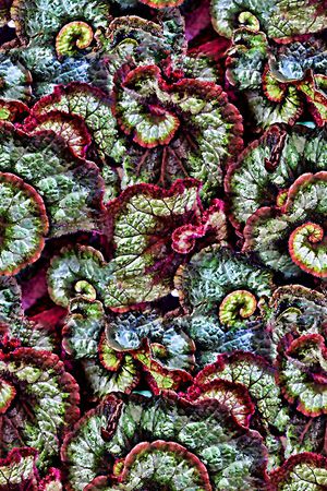 抽象几何清爽梦幻艺术平底立体手绘满版最新高清数码蕾丝民族中国风绣花珠宝肌理时尚潮

流大牌复古欧美风山石纹理印花华亿平台图片