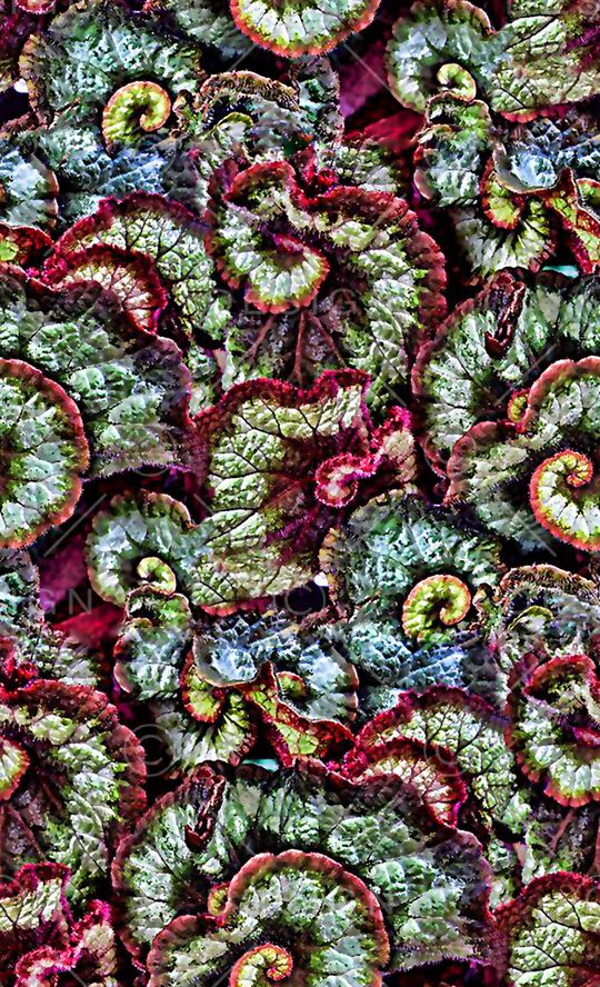 抽象几何清爽梦幻艺术平底立体手绘满版最新高清数码蕾丝民族中国风绣花珠宝肌理时尚潮

流大牌复古欧美风山石纹理印花华亿平台图片