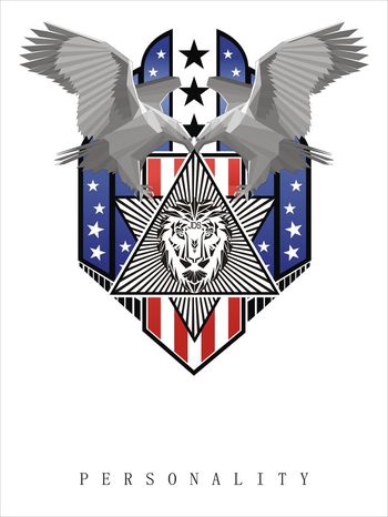 鹰　国旗　几何印花华亿平台图片