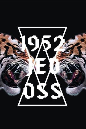 老虎　字母印花华亿平台图片