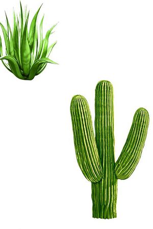 仙人掌热带印花华亿平台图片