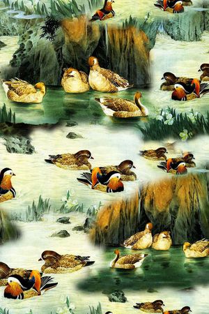 国画印花华亿平台图片