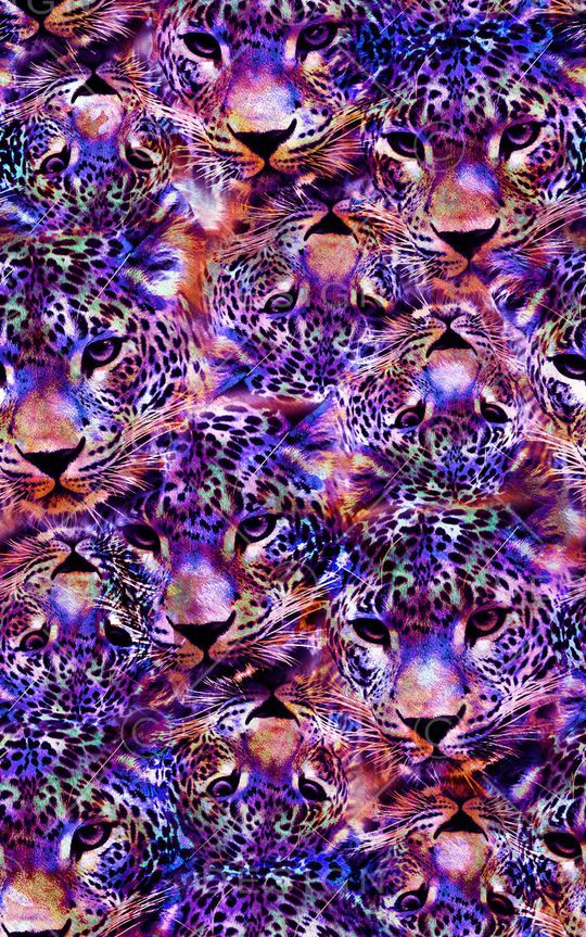 豹子印花华亿平台图片