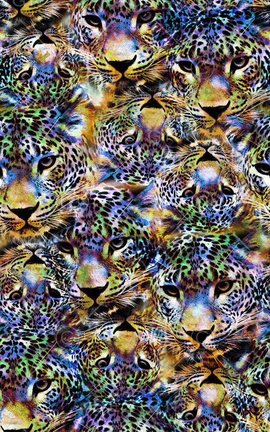 豹子印花华亿平台图片