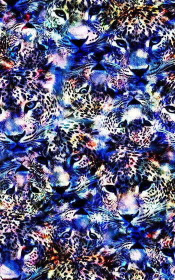 601436-豹子豹纹