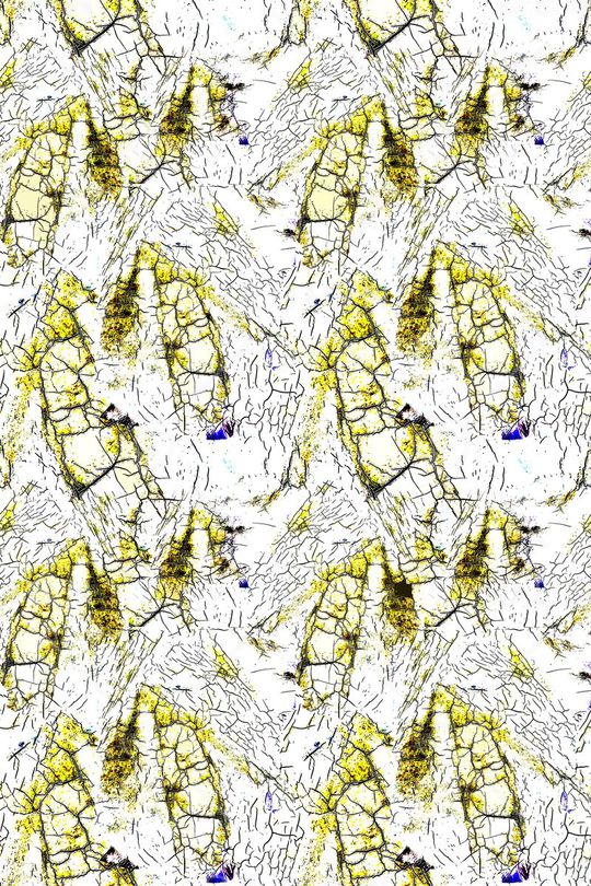 时尚印花华亿平台图片