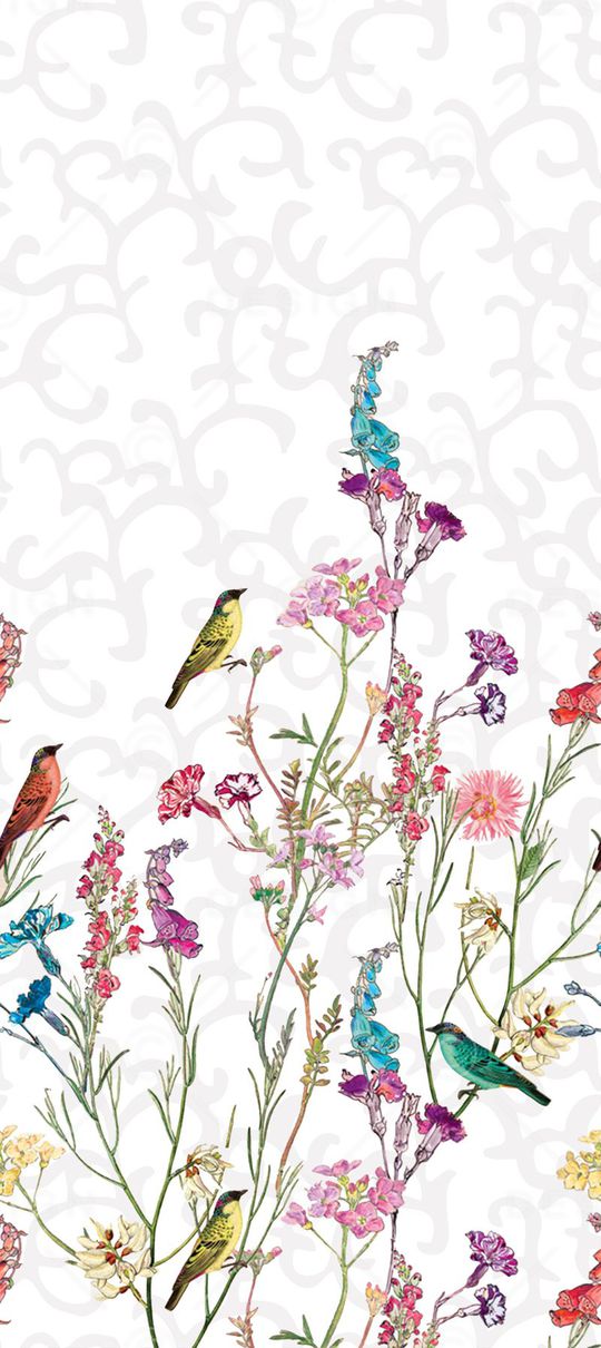 女装衬衫华亿平台印花华亿平台图片