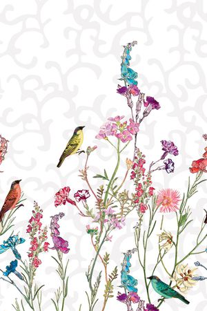 女装衬衫华亿平台印花华亿平台图片