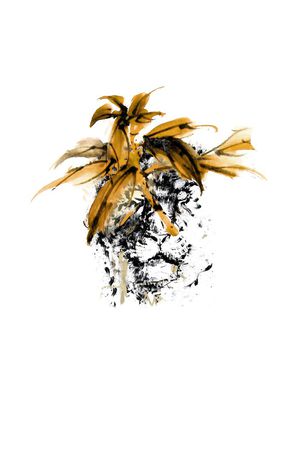 这就是卡沃莉印花华亿平台图片