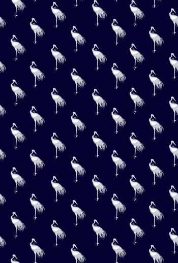 602101-丹顶鹤男装