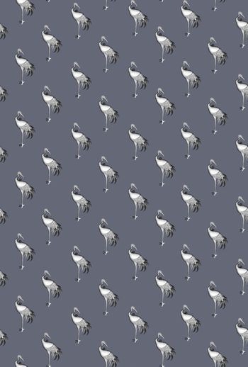 602102-丹顶鹤男装