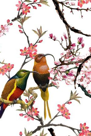 花鸟印花华亿平台图片