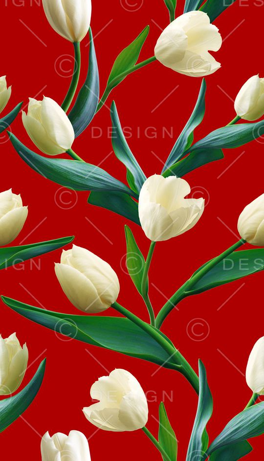 花卉、郁金香、红底印花华亿平台图片