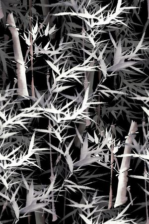 黑白印花华亿平台图片