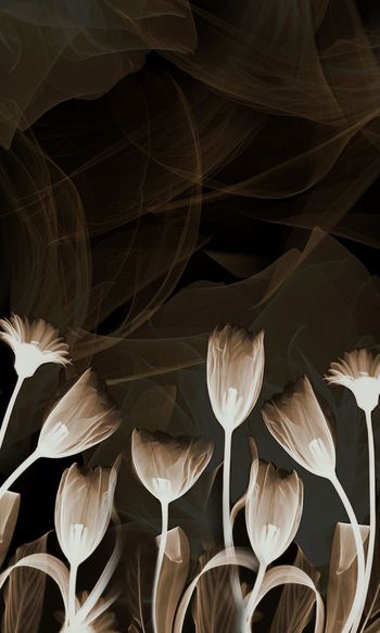 602311-水墨烟雾花卉