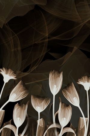 水墨印花华亿平台图片