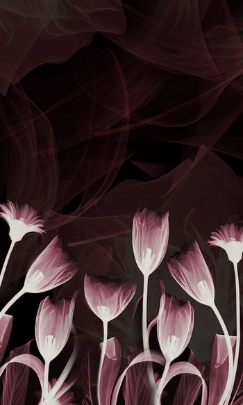 602312-水墨烟雾花卉