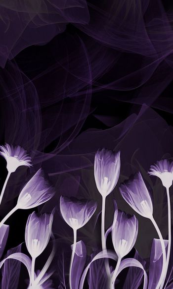 602314-水墨烟雾花卉