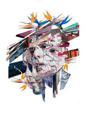 天堂鸟印花华亿平台图片