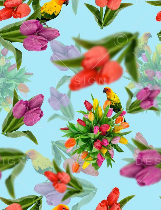 花鸟印花华亿平台图片