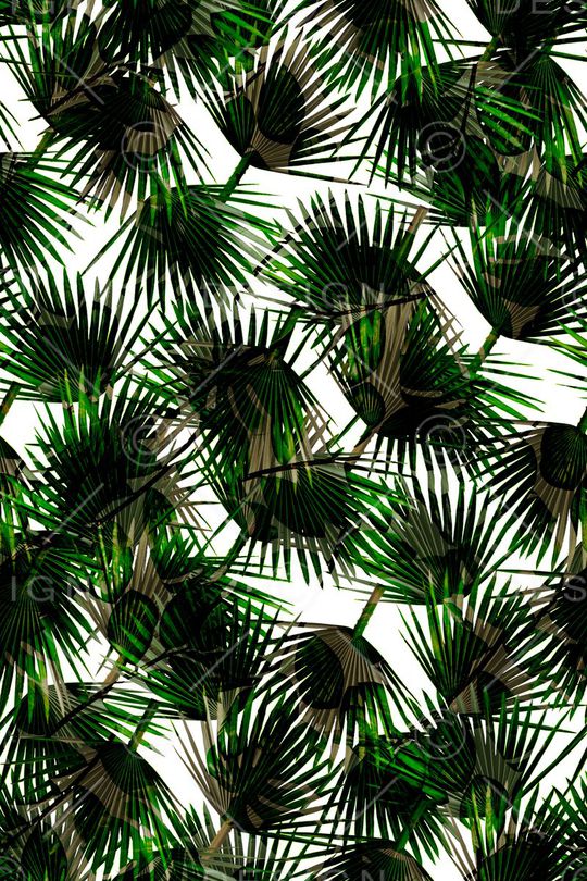 热带印花华亿平台图片