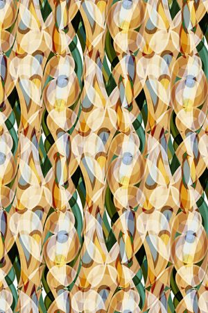 短裤印花华亿平台图片