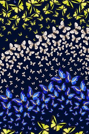 蝴蝶印花华亿平台图片