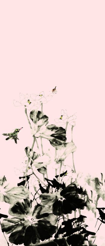 602681-定位盛开荷花水墨画 粉色