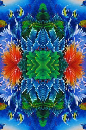 海底世界印花华亿平台图片