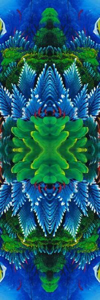 海底世界印花华亿平台图片