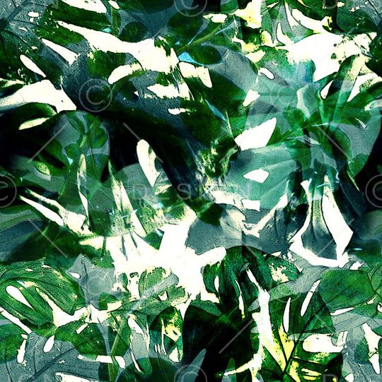 热带印花华亿平台图片