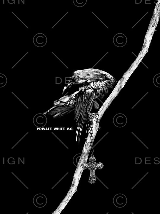 鸟印花华亿平台图片